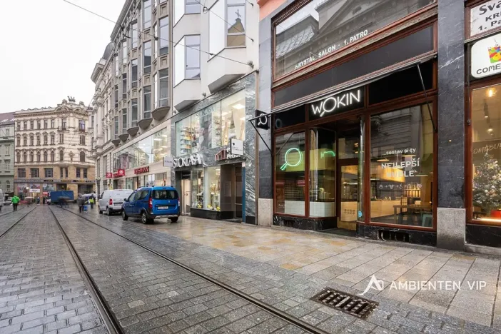 Prodej obchodního prostoru, Brno, Masarykova, 494 m2