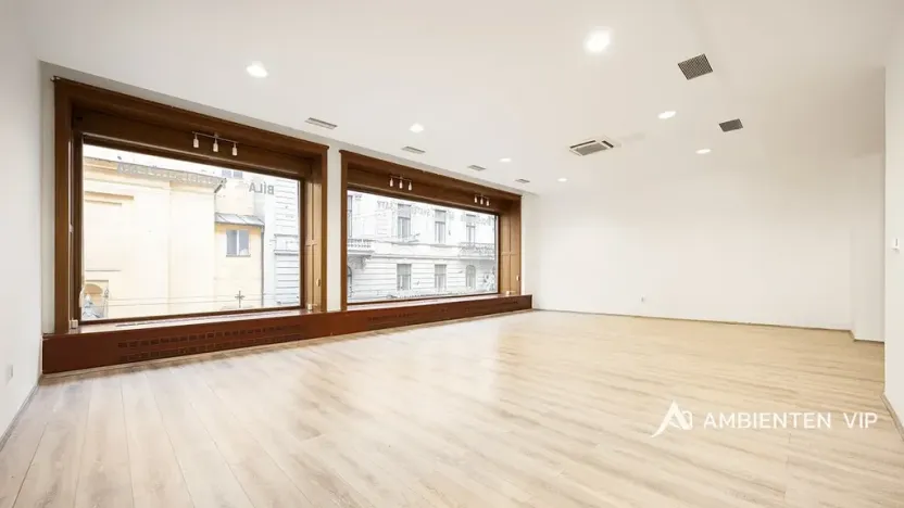 Prodej obchodního prostoru, Brno, Masarykova, 494 m2