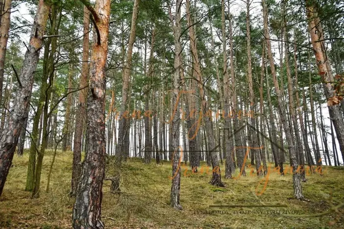 Prodej chaty, Svatý Jan, 45 m2