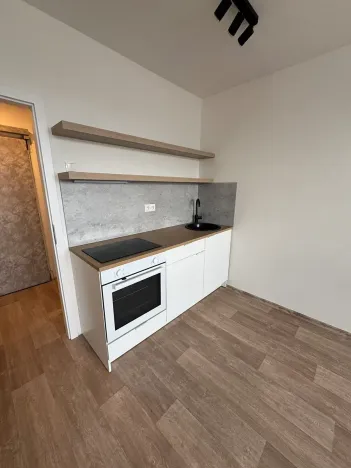 Pronájem bytu 1+1, Praha, Jílovská, 34 m2