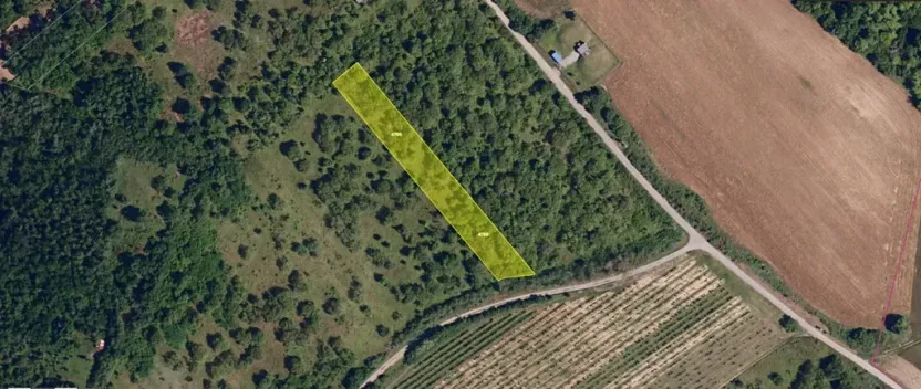 Pronájem zahrady, Dolní Kounice, 2459 m2