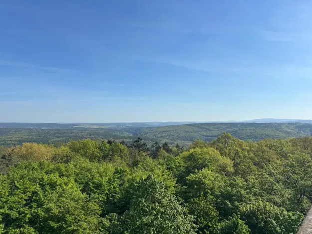 Prodej komerční nemovitosti, Plzeň, 33 m2