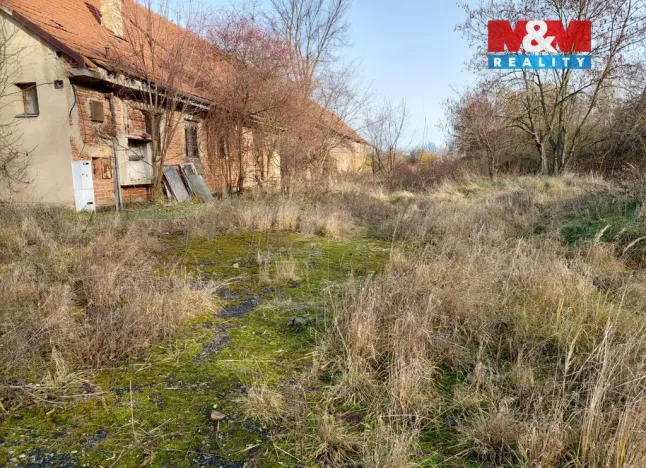 Prodej zemědělské usedlosti, Třebovle - Miškovice, 500 m2