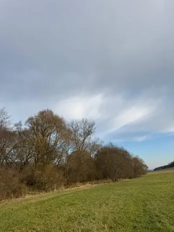 Prodej pozemku, Chvalšiny, 21761 m2