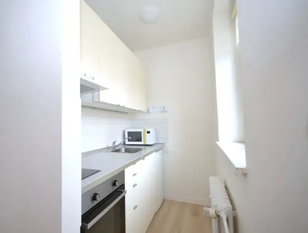 Pronájem bytu 1+kk, Frýdek-Místek, Bruzovská, 30 m2