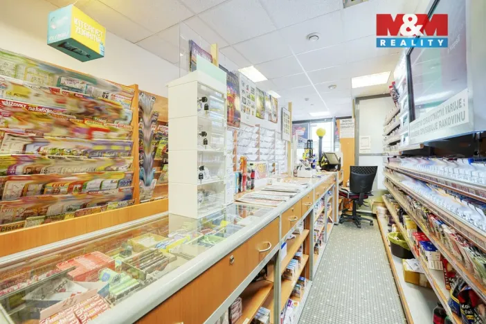 Pronájem obchodního prostoru, Plzeň - Jižní Předměstí, Goethova, 33 m2