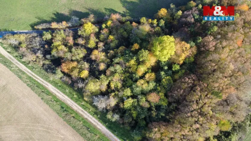 Prodej pole, Milešov, 4731 m2