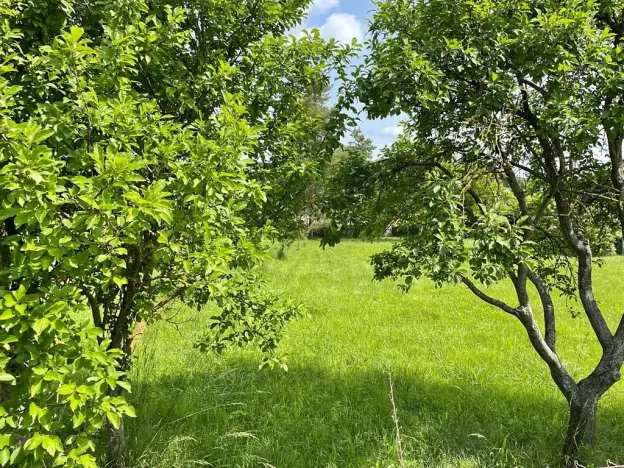 Prodej pozemku pro bydlení, Kovalovice, 2348 m2