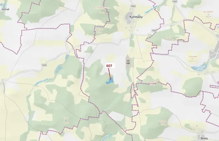 Dražba lesa, Kuřimany, 10437 m2