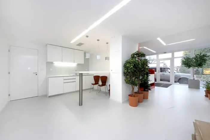 Prodej vícegeneračního domu, Praha - Podolí, V rovinách, 974 m2