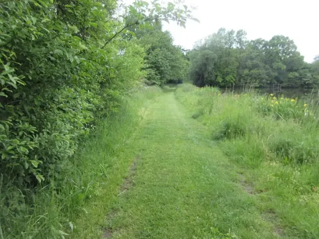 Prodej pozemku, Čížová, 2006 m2