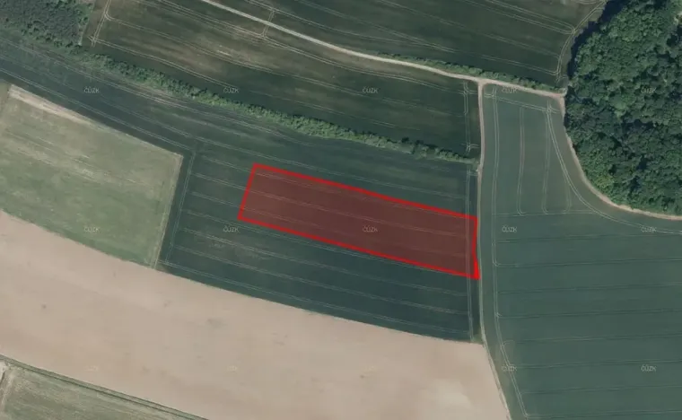 Prodej pole, Bohuslavice, 30834 m2