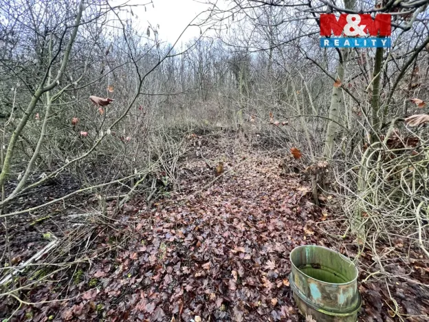 Prodej pozemku pro bydlení, Bílina, 1101 m2