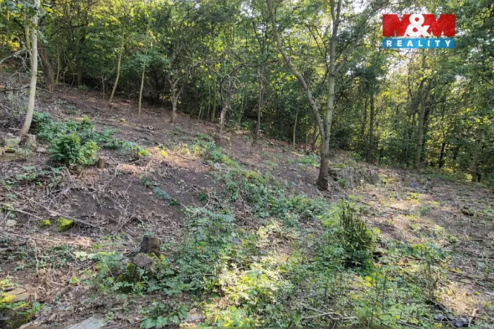 Prodej pozemku pro bydlení, Bílina, 1101 m2