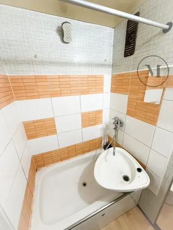 Prodej bytu 1+kk, České Budějovice, Fr. Ondříčka, 29 m2