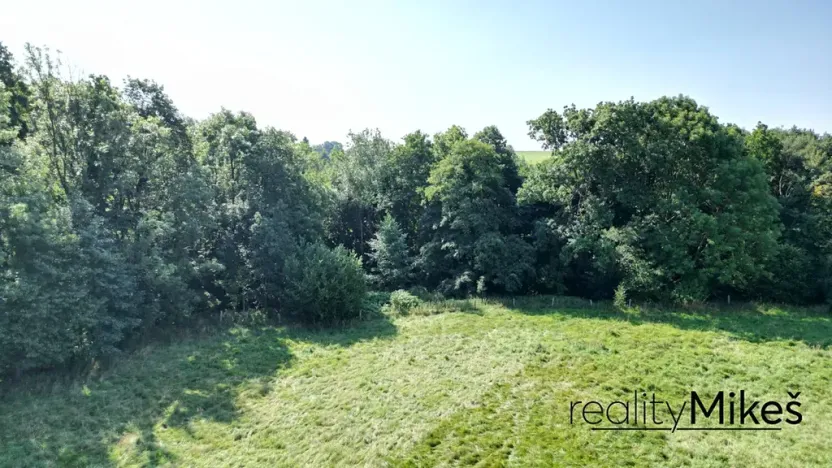 Prodej louky, Křižany, 2663 m2