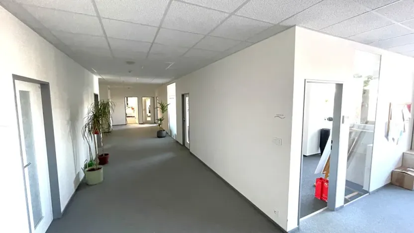 Pronájem kanceláře, Praha - Holešovice, Dělnická, 1252 m2