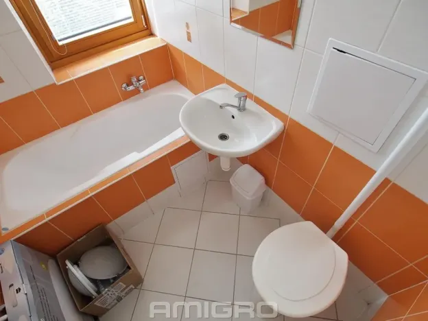 Pronájem bytu 1+kk, Brno, Obilní trh, 20 m2