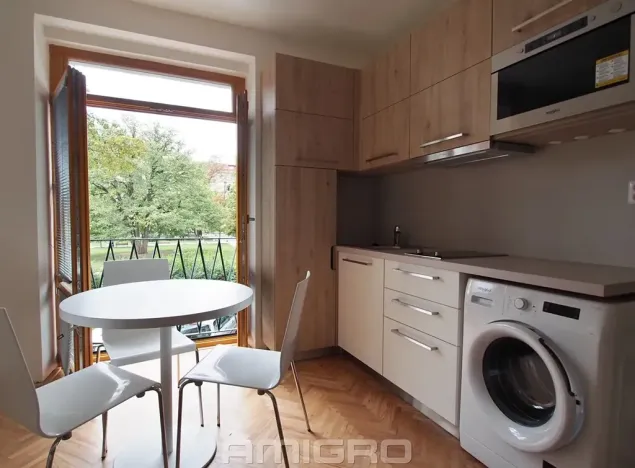 Pronájem bytu 1+kk, Brno, Obilní trh, 20 m2