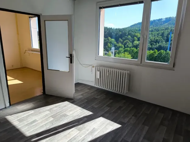 Pronájem bytu 1+1, Děčín, Na Pěšině, 33 m2