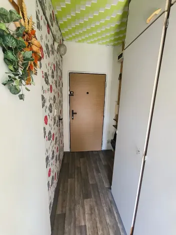 Pronájem bytu 1+1, Děčín, Na Pěšině, 33 m2