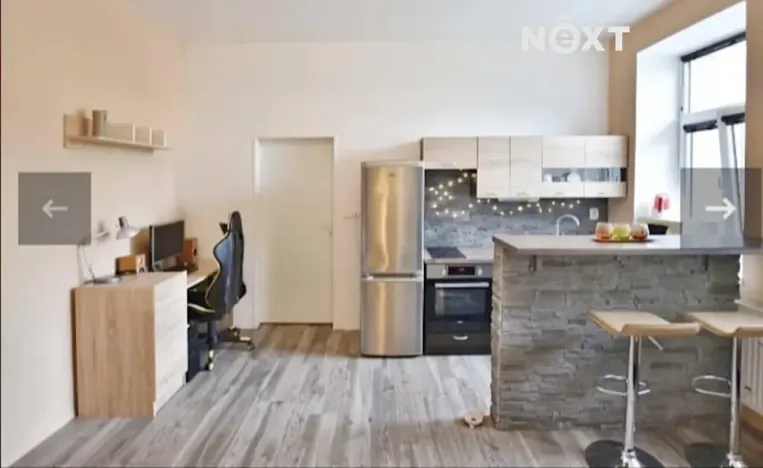 Pronájem bytu 1+kk, České Budějovice, K. V. Raise, 30 m2