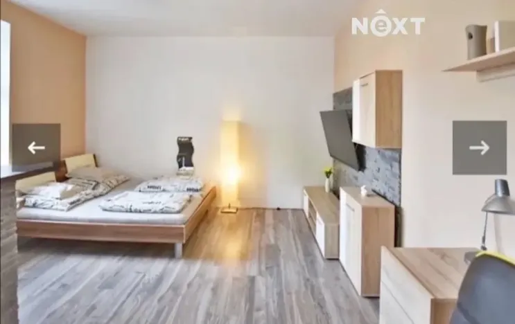 Pronájem bytu 1+kk, České Budějovice, K. V. Raise, 30 m2