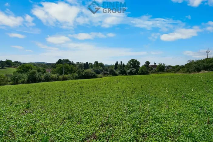 Prodej pozemku pro bydlení, Putim, 8005 m2