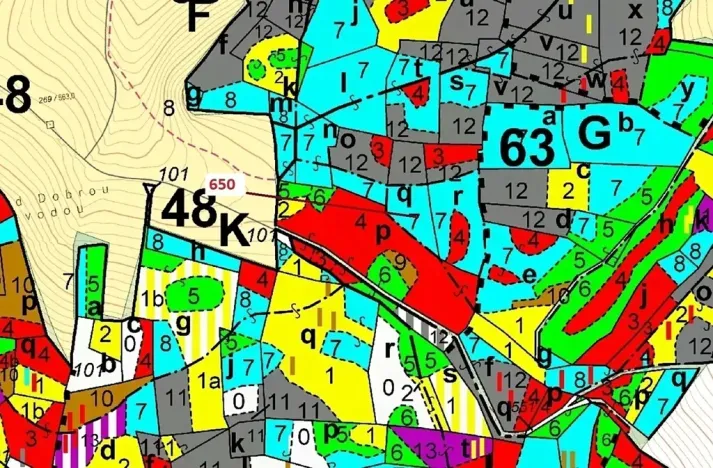 Dražba lesa, Kuřimany, 3688 m2