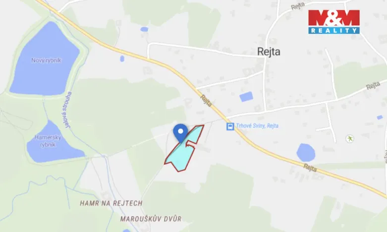 Prodej pozemku, Trhové Sviny, 6784 m2