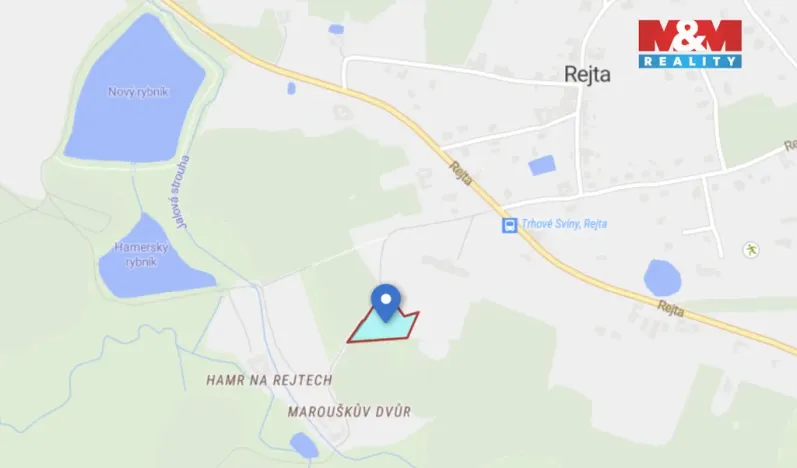 Prodej pozemku, Trhové Sviny, 4129 m2