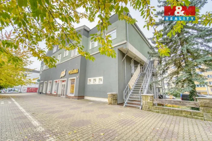 Pronájem bytu 1+kk, Plzeň, Nepomucká, 28 m2