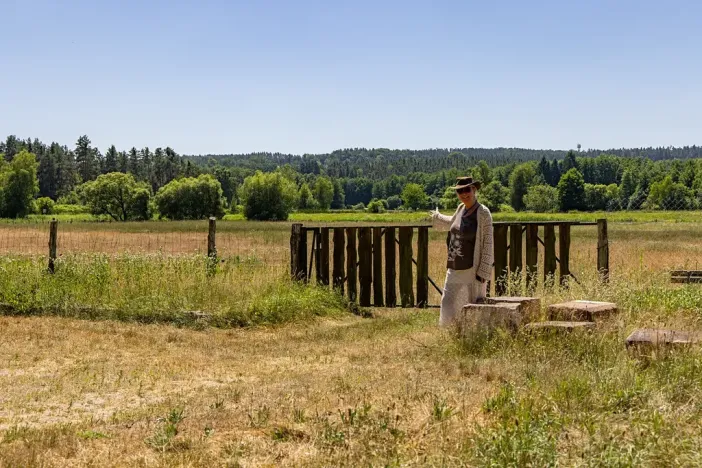 Prodej louky, Doksy, 46765 m2