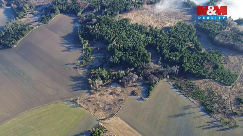 Prodej lesa, Bohdalov, 34642 m2