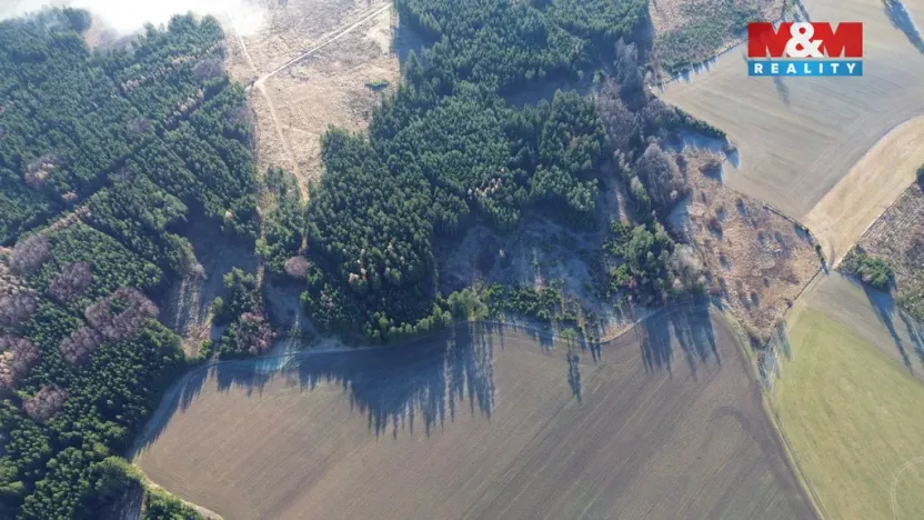 Prodej lesa, Bohdalov, 34642 m2