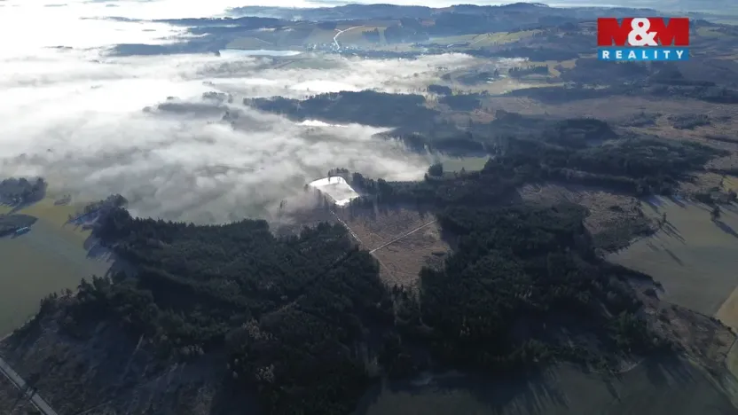 Prodej lesa, Bohdalov, 34642 m2