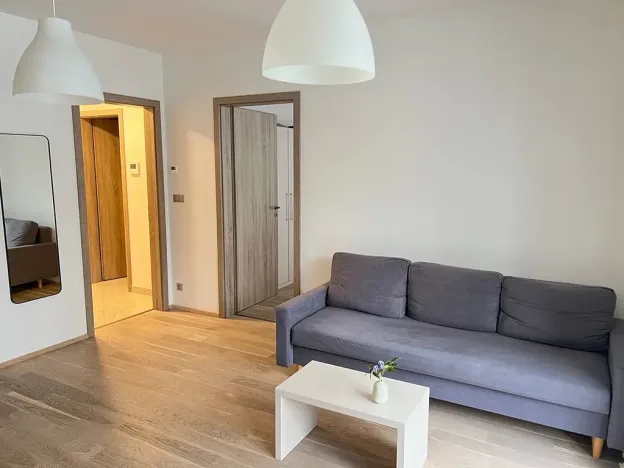 Pronájem bytu 2+kk, Praha - Vysočany, Bassova, 50 m2