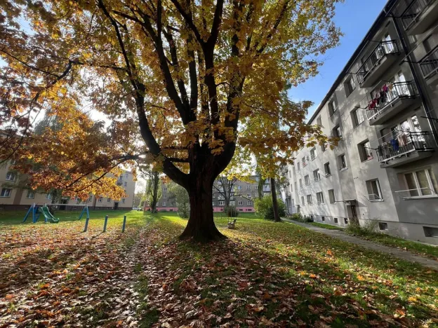 Pronájem bytu 1+kk, Ostrava - Zábřeh, Svazácká, 24 m2