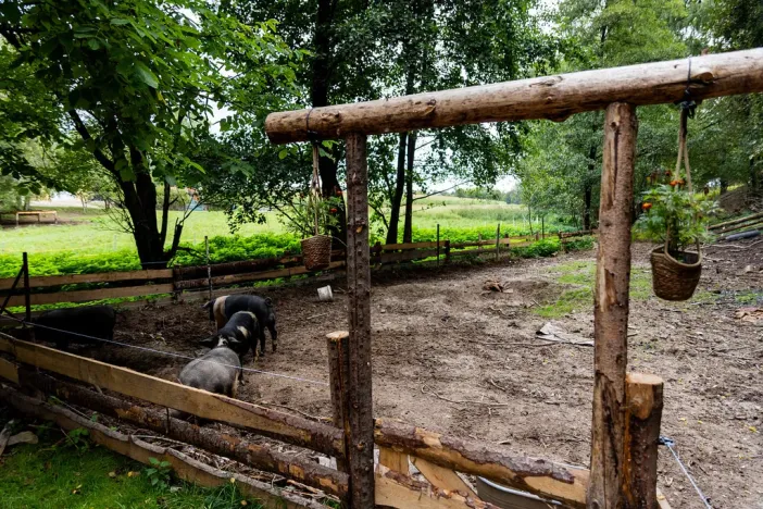 Prodej rodinného domu, Litíč, 60 m2