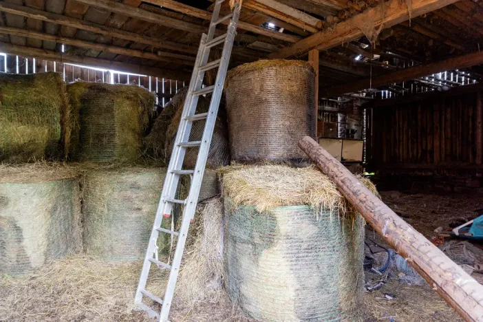 Prodej rodinného domu, Litíč, 60 m2