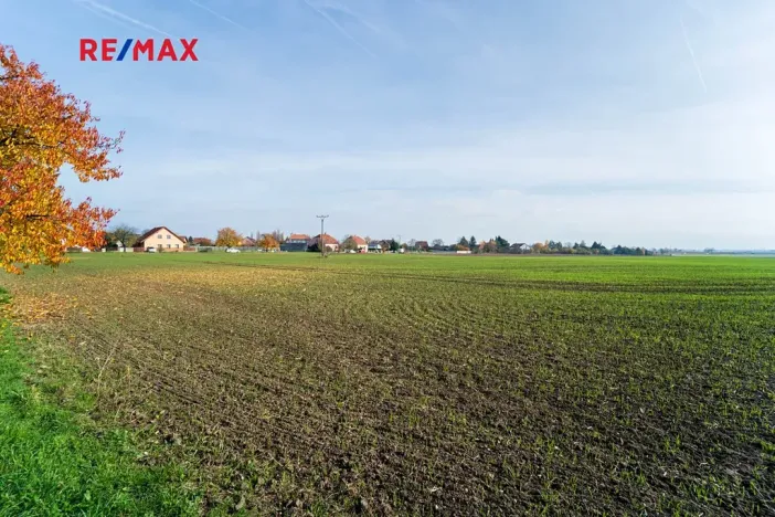 Prodej pozemku pro bydlení, Všechlapy, 9214 m2