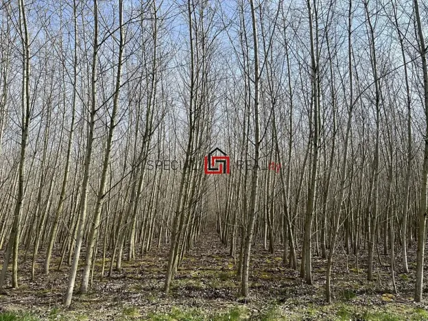 Prodej pole, Doubrava, 59227 m2