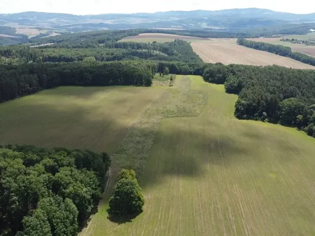 Dražba pole, Luhačovice, 23500 m2