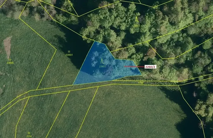 Dražba lesa, Zděchov, 1022 m2