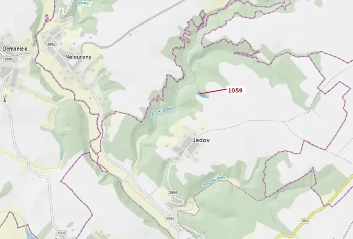 Dražba lesa, Náměšť nad Oslavou, 3646 m2