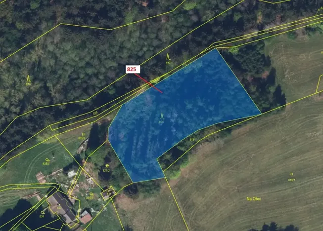 Dražba lesa, Ohnišov, 4071 m2