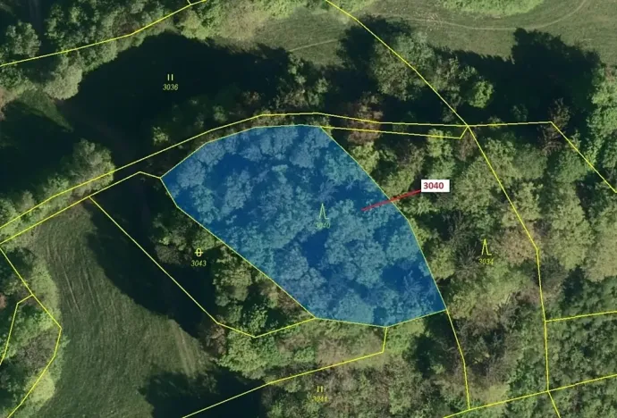 Dražba lesa, Zděchov, 2428 m2