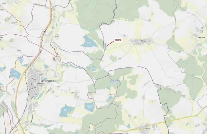 Dražba lesa, Žirovnice, 5041 m2