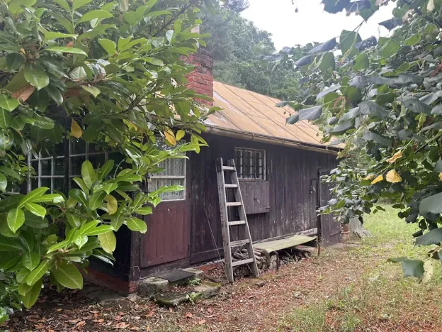 Pronájem sadu/vinice, Praha - Točná, Ke starému hřišti, 3842 m2