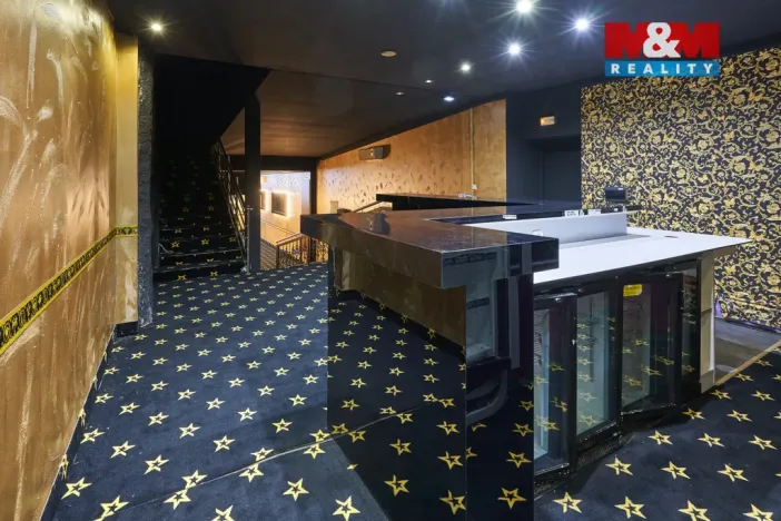 Pronájem obchodního prostoru, Uherský Brod, Moravská, 205 m2